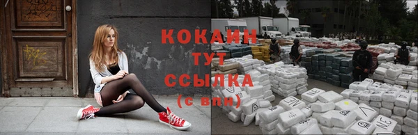 тгк Аркадак