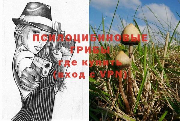 винт Алзамай