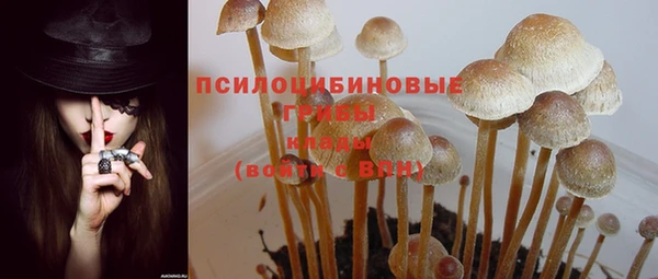 тгк Аркадак