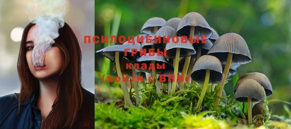 гашик Армянск