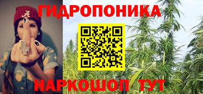 хмурый Сланцы