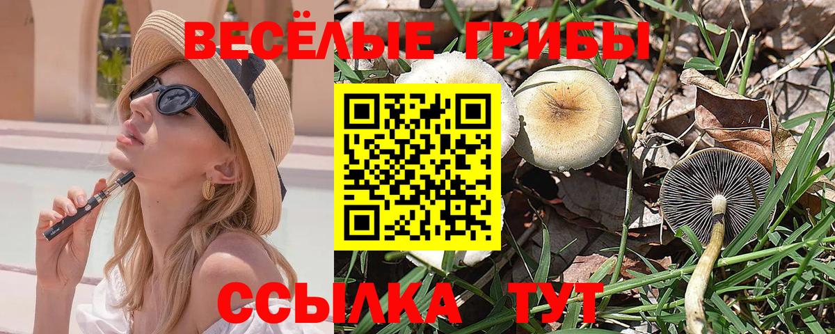 Гашиш  ГАШ  Вход с VPN  Экстази  Сатка  МЕФ   Канабис  МЕТ 