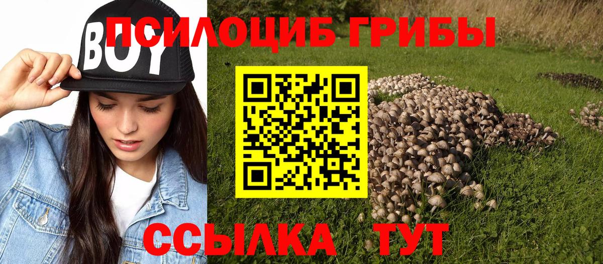 Псилоцибиновые грибы GOLDEN TEACHER Сатка